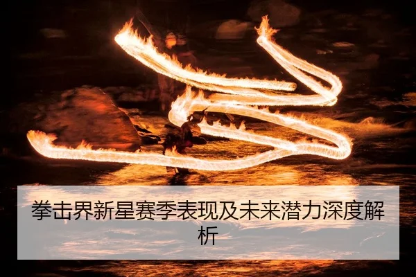 拳击界新星赛季表现及未来潜力深度解析